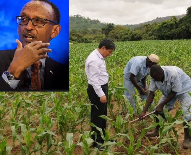 President Kagame Deports 18 Chinese ‘Investors’ For Mistreating Rwandans