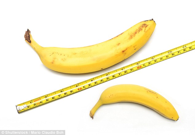Good news for all Men who think they have small size