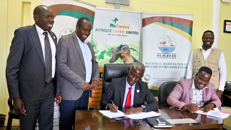NARO Partners with Menigte Farms Limited to Advance Goat Farming